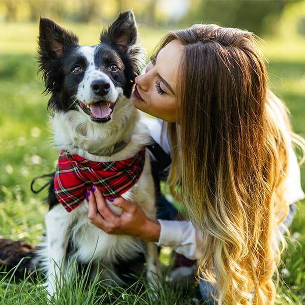 A Doggone Smart Choice